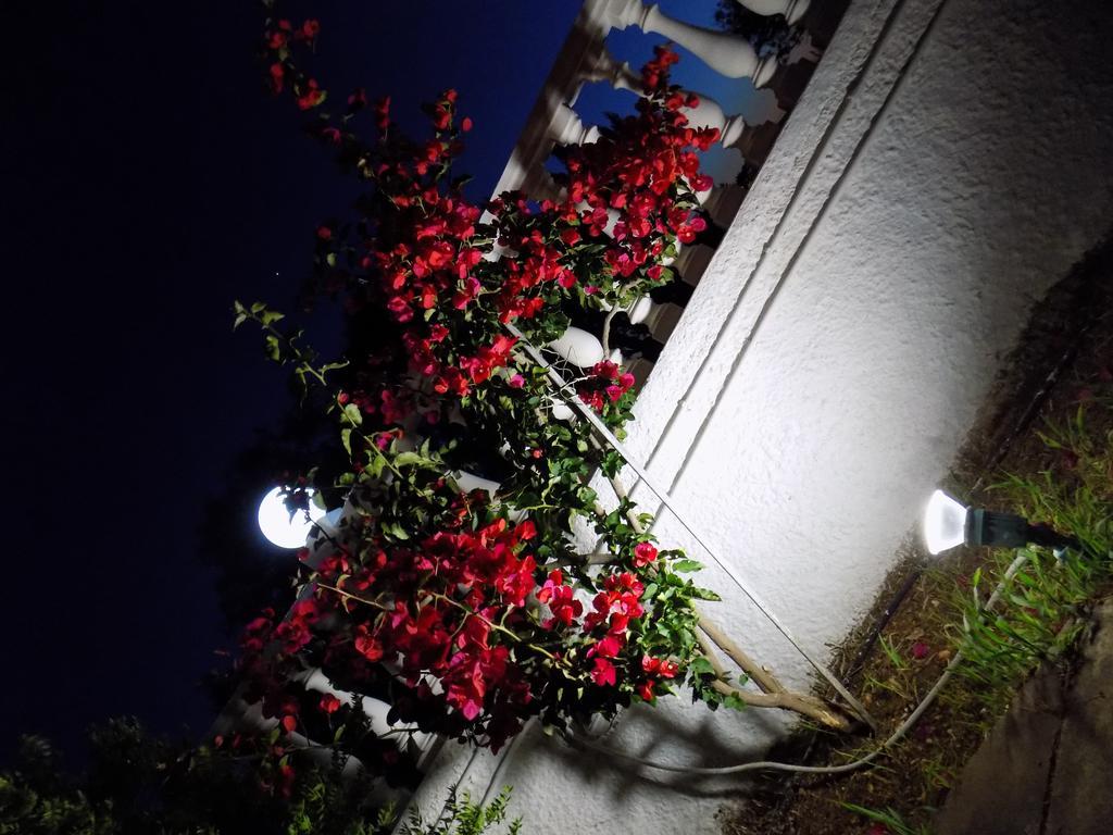 Galaxy Hotel Argostoli (Kefalonia) Exterior foto