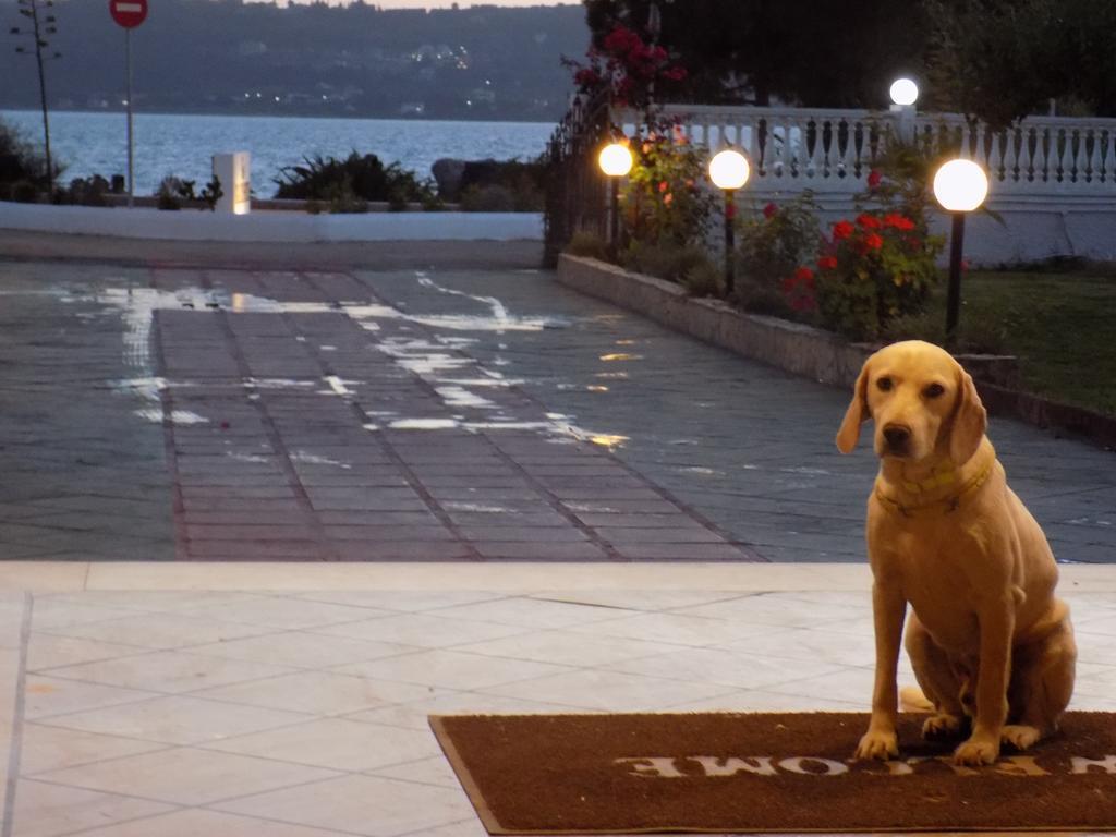 Galaxy Hotel Argostoli (Kefalonia) Exterior foto